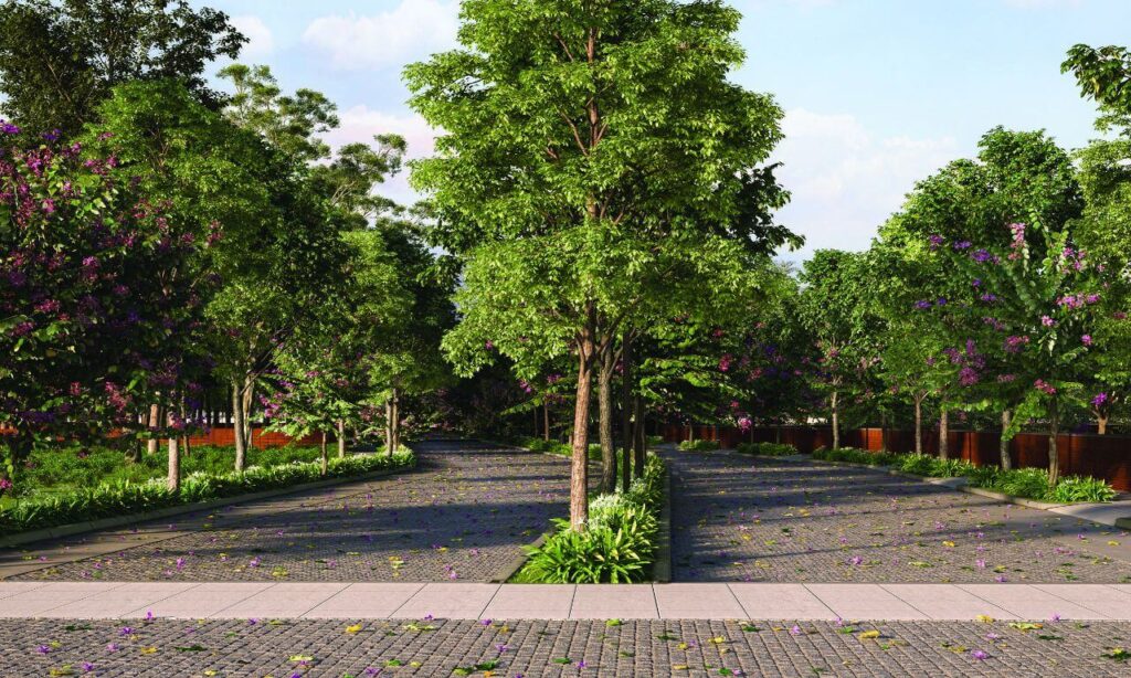 Tangled Up In Green - Luxury Plots in Devanahalli, North Bangalore3
